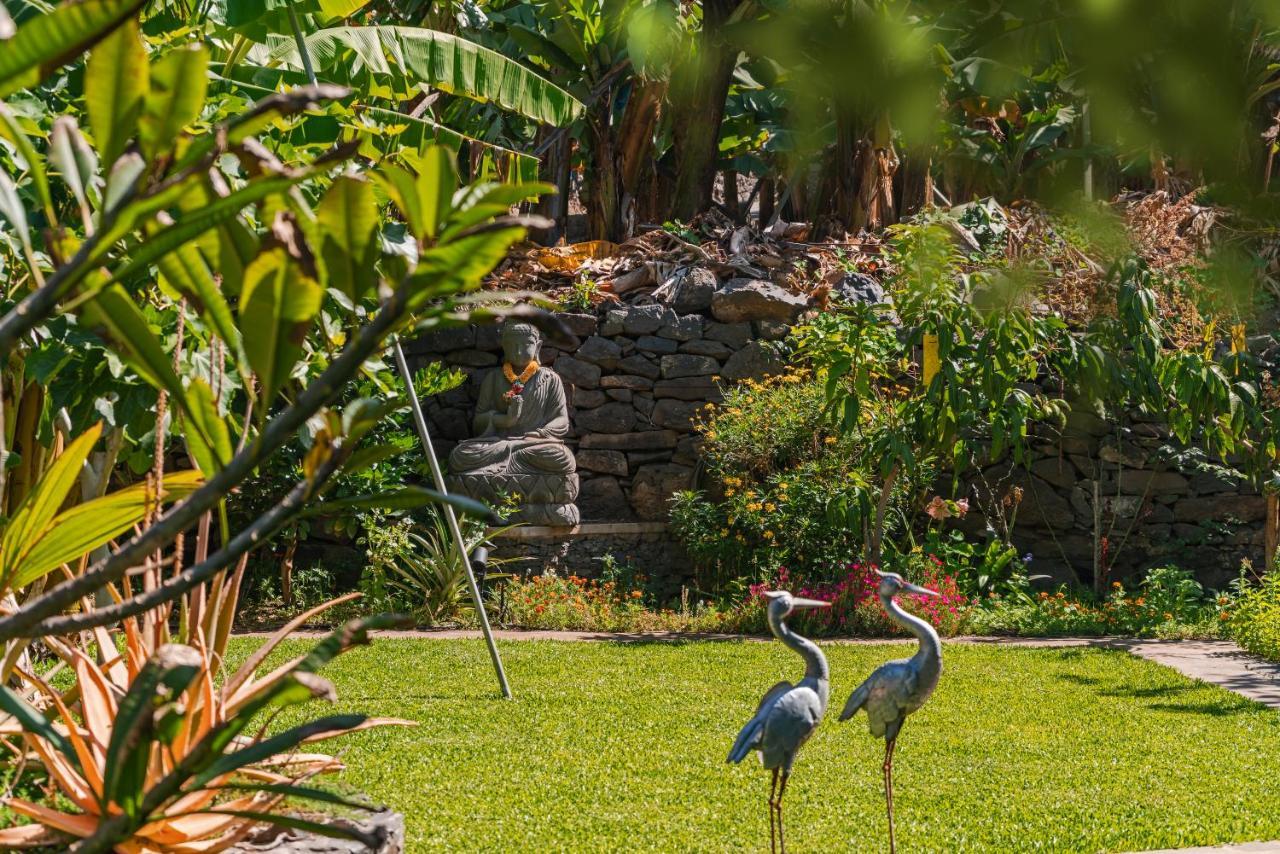 Ferienwohnung Quinta Golfinho Arco da Calheta  Exterior foto