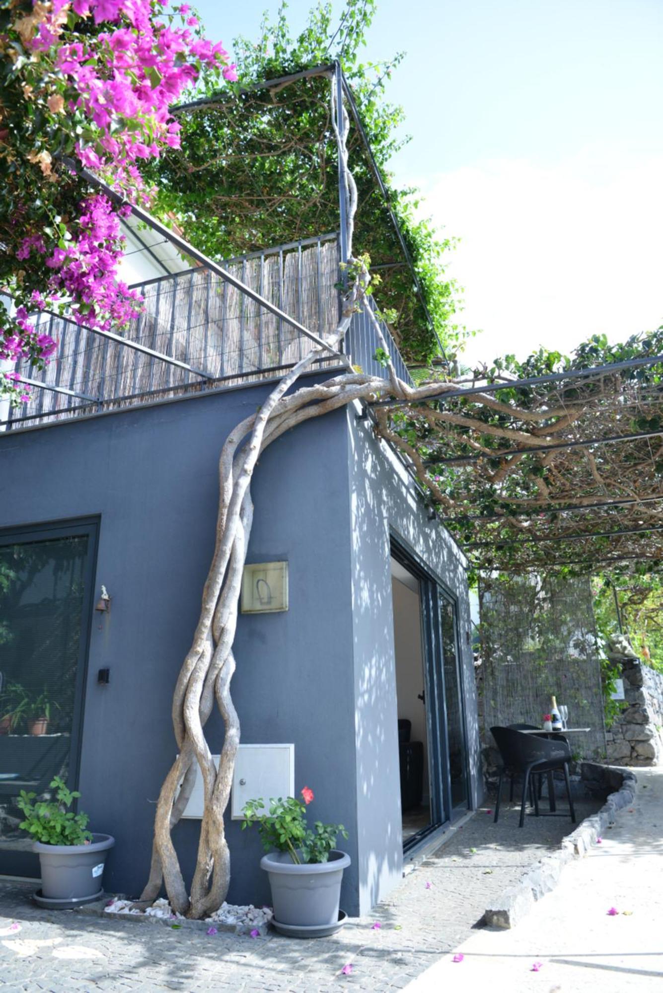 Ferienwohnung Quinta Golfinho Arco da Calheta  Exterior foto