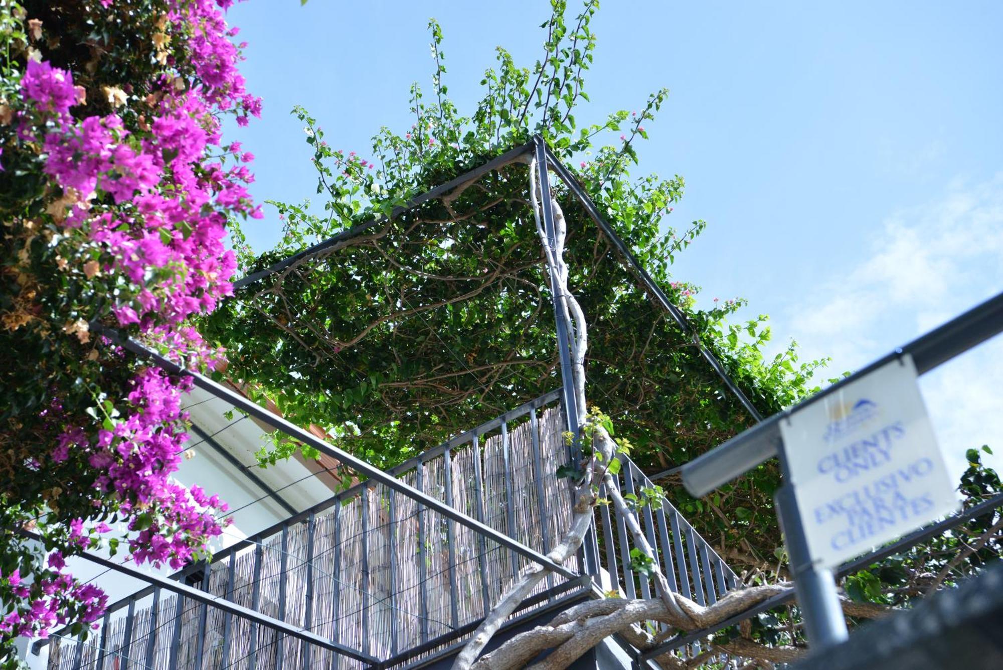 Ferienwohnung Quinta Golfinho Arco da Calheta  Exterior foto