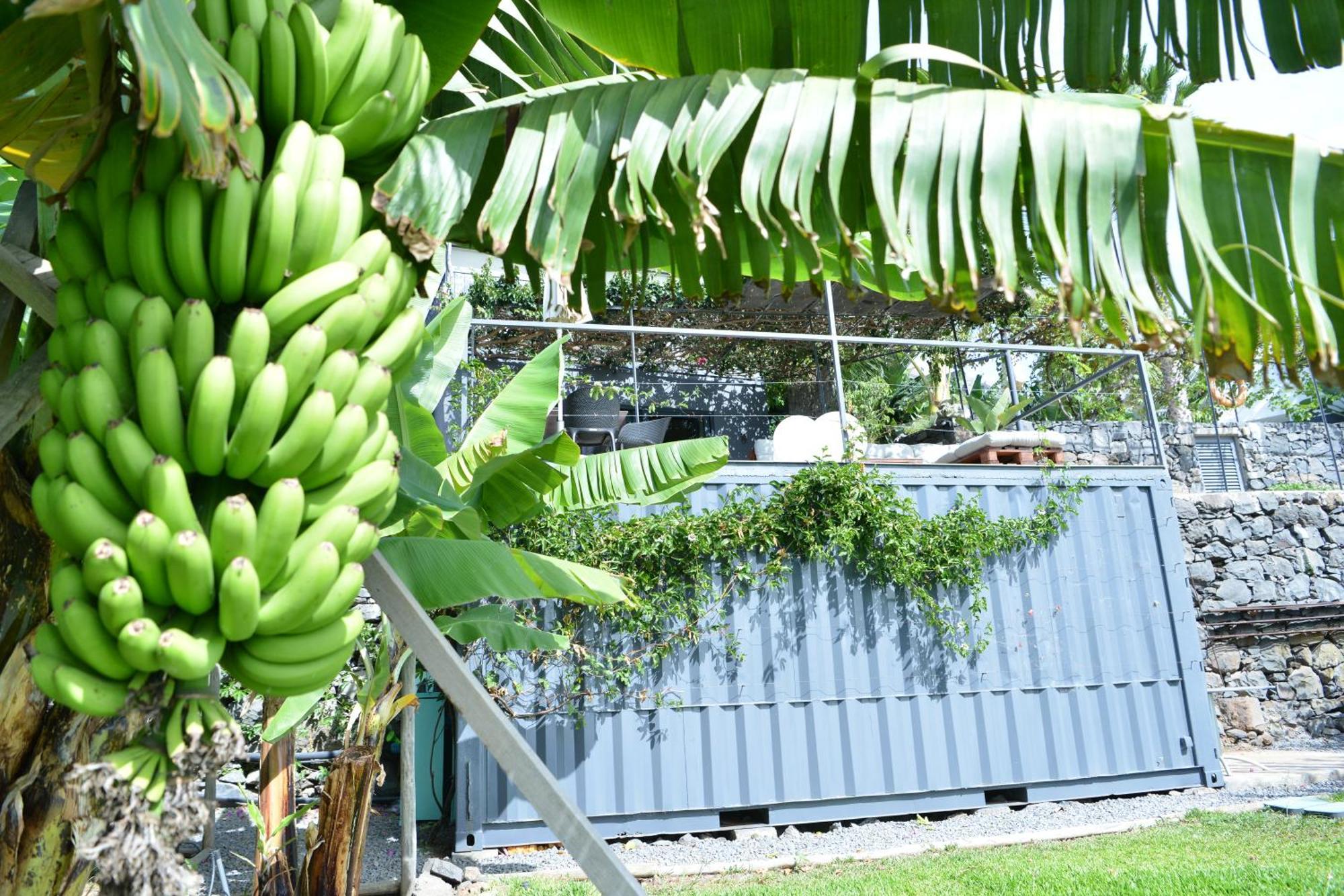 Ferienwohnung Quinta Golfinho Arco da Calheta  Exterior foto