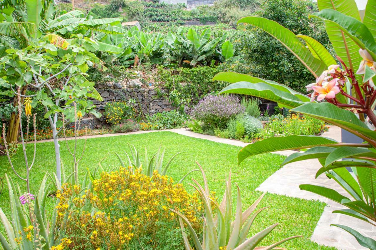 Ferienwohnung Quinta Golfinho Arco da Calheta  Exterior foto